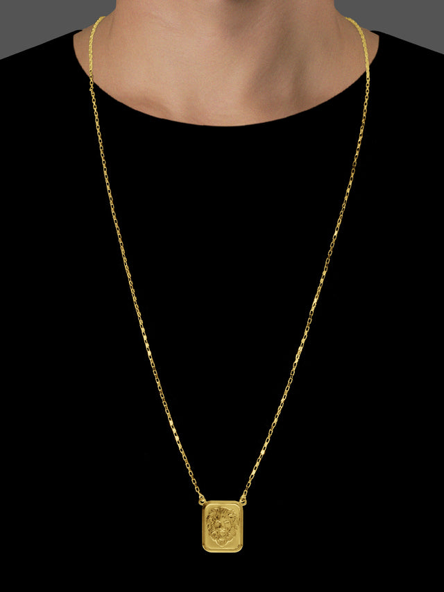 Escapulário Elo Chapado Leão/Estrela de Davi - 70cm - Banhado a Ouro 18K
