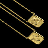 Escapulário Elo Chapado Leão/Estrela de Davi - 70cm - Banhado a Ouro 18K